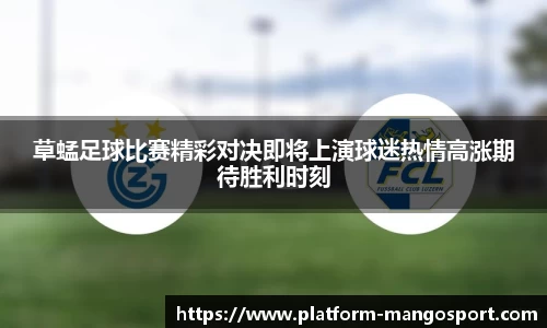 草蜢足球比赛精彩对决即将上演球迷热情高涨期待胜利时刻