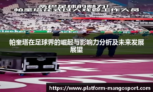 芒果体育